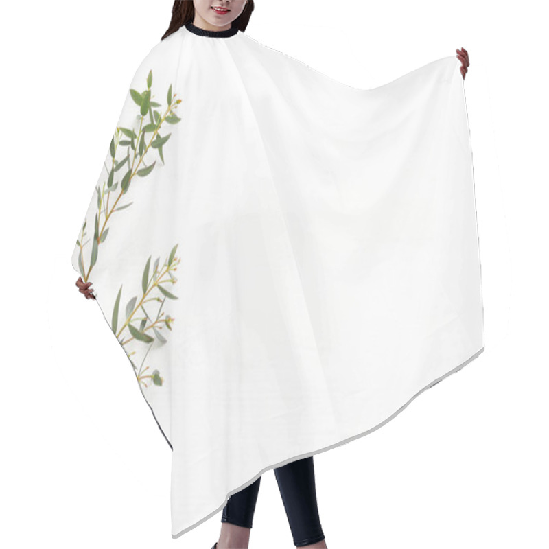 Personality  Top View Image Of Eucalyptus Over Wooden White Background. Flat Lay Hair Cutting Cape