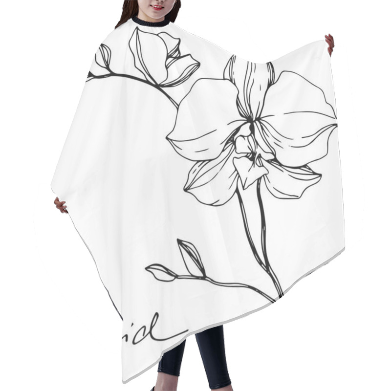 Personality  Vector Monochrome Orchids With Orchid Lettering Isolated On White. Engraved Ink Art. Hair Cutting Cape