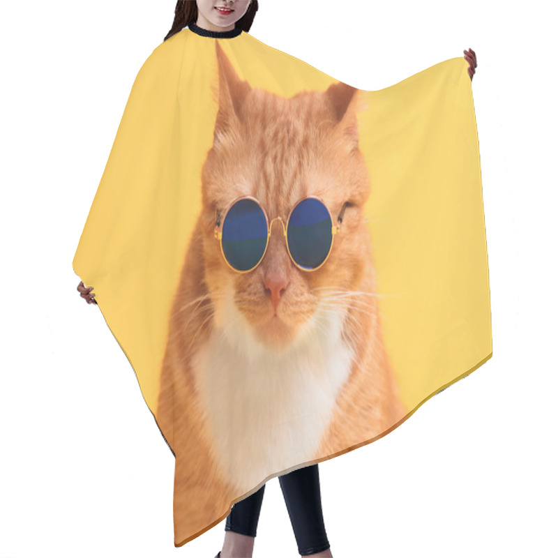 Personality  Portrait Of Cute Ginger Cat In Stylish Sunglasses On Yellow Background Hair Cutting Cape