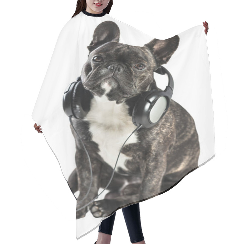 Personality  French Bulldog In Headphones  Hair Cutting Cape