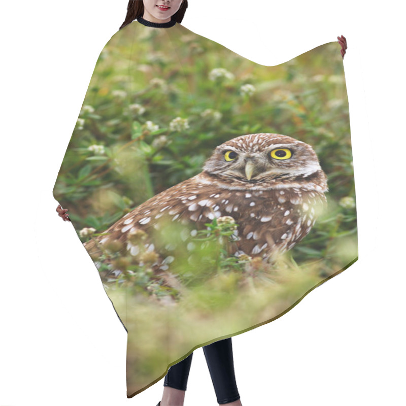 Personality  Burrowing Owl Sitting Near Nest Hair Cutting Cape