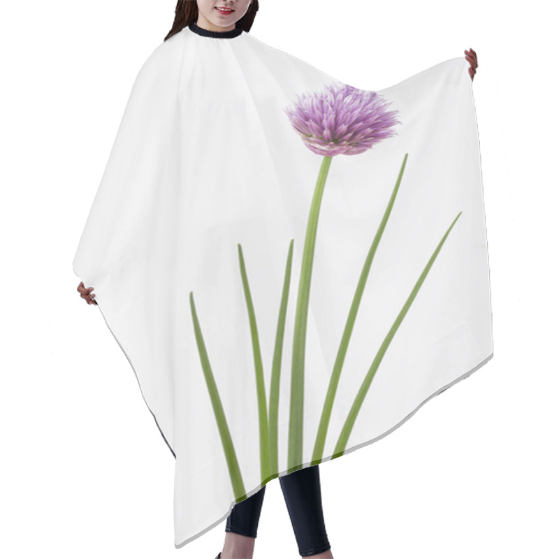 Personality  Herb Chive Including Flower On Plain Background Hair Cutting Cape