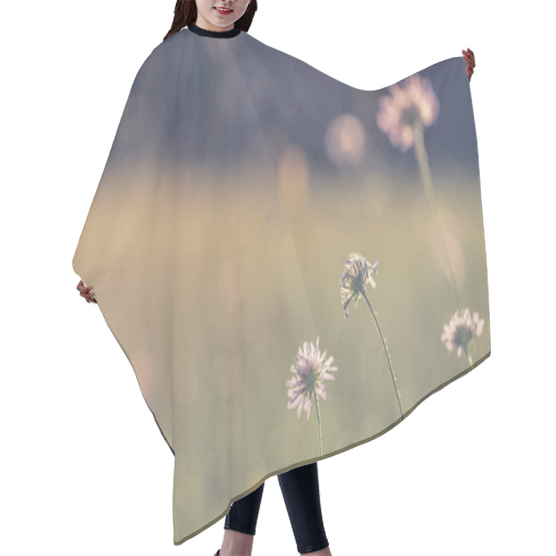 Personality  Beautiful Summer Meadow And Field Of Flowers. Soft Sunlight And Sun Rays With Vintage Tones Hair Cutting Cape