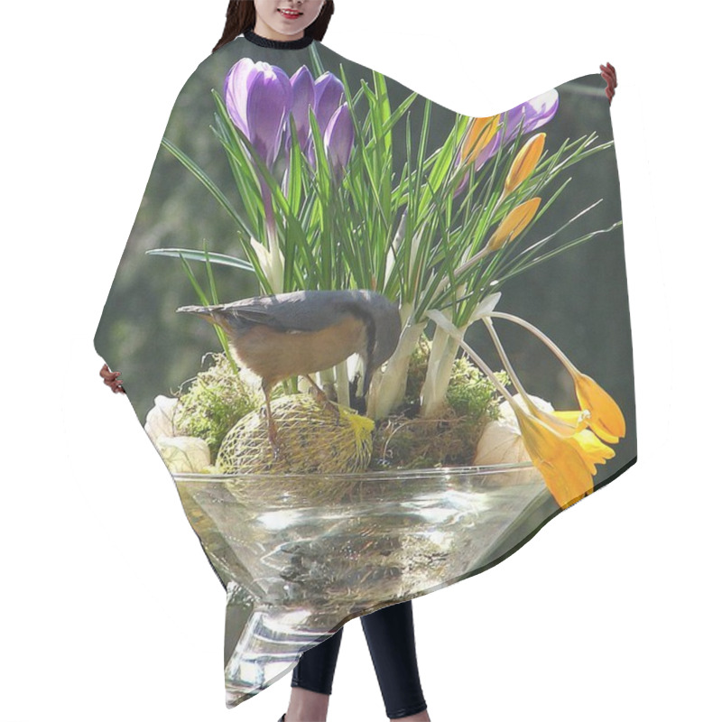 Personality  Crocus Flowers, Spring Flora And Petals Hair Cutting Cape