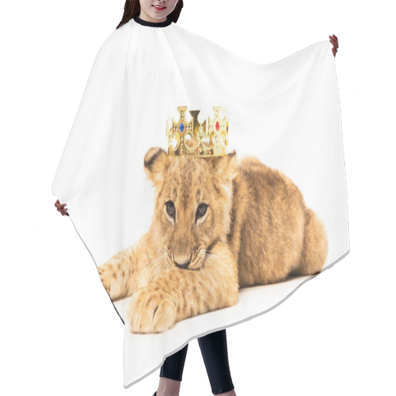 Personality  Cute Lion Cub In Golden Crown Isolated On White Hair Cutting Cape