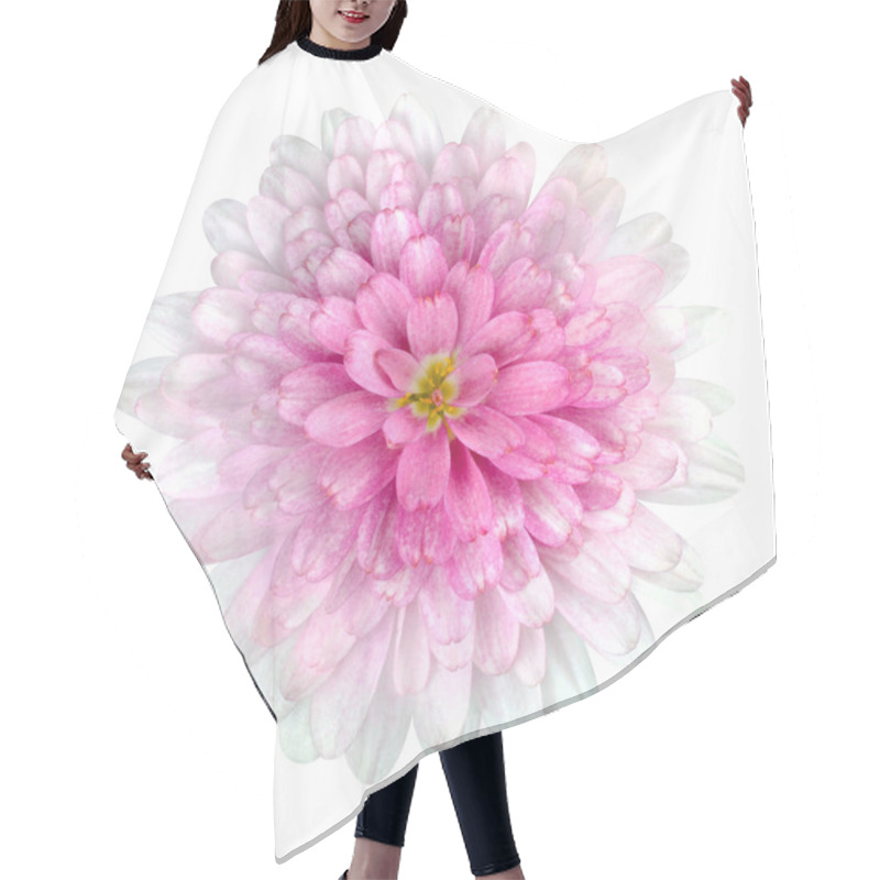 Personality  Dahlia Flower Pink Petals Isolated On White Hair Cutting Cape