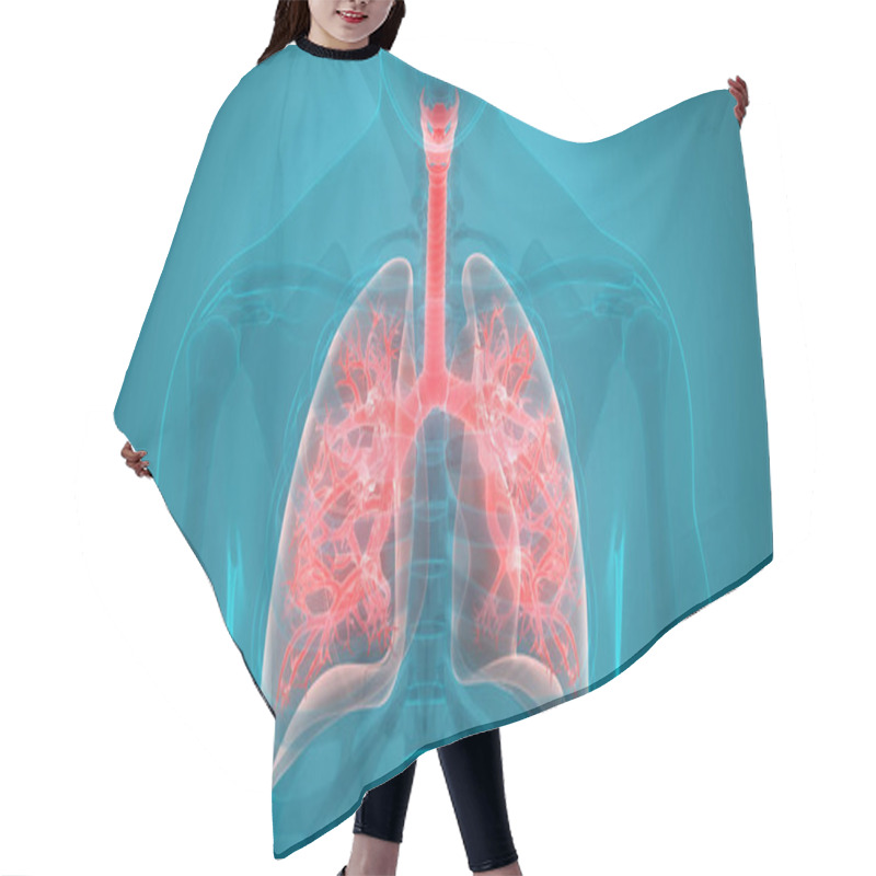 Personality  3D Illustration Of Human Respiratory System, Lungs Anatomy Hair Cutting Cape