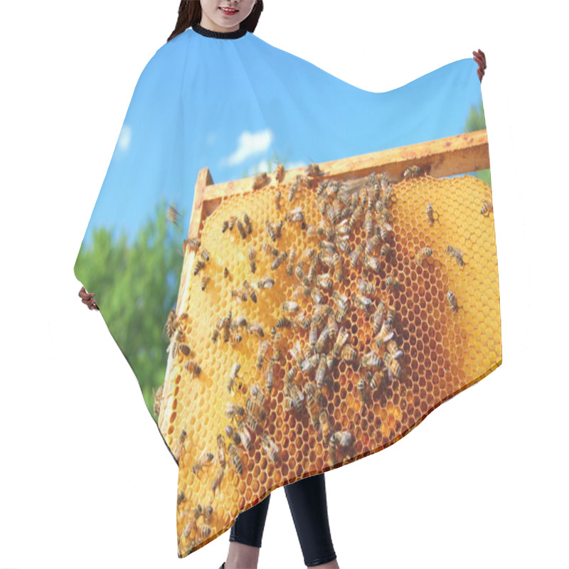 Personality  Bees On Honeycomb Frame Hair Cutting Cape