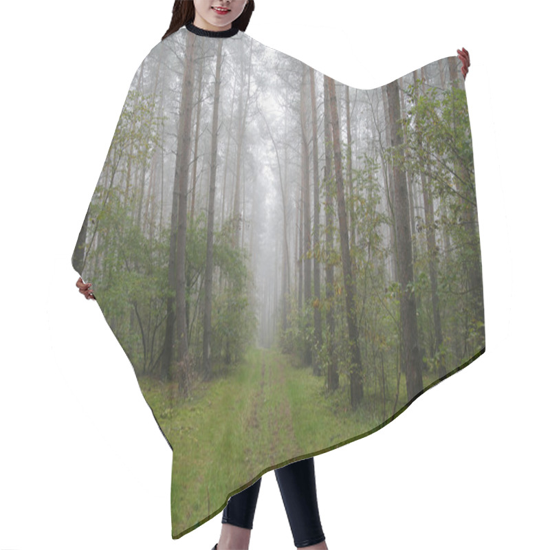 Personality  Foggy Forest In Poland Hair Cutting Cape