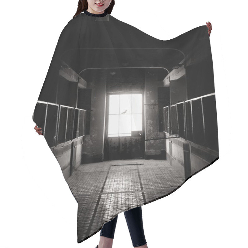 Personality  Dark And Abandoned Place Hair Cutting Cape