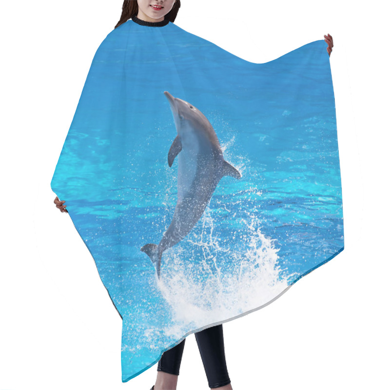 Personality  Bottlenose Dolphin Hair Cutting Cape