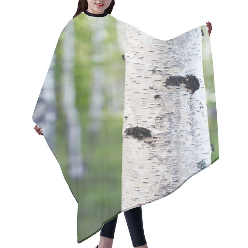 Personality  Birchwood Hair Cutting Cape