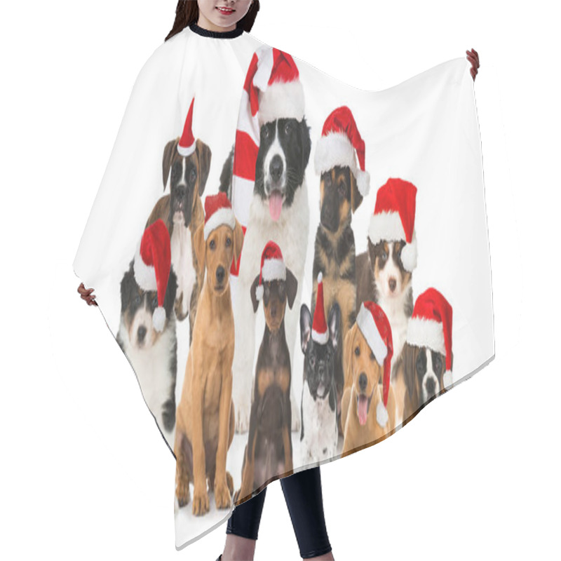 Personality  Christmas Puppies On Background, Close Up Hair Cutting Cape