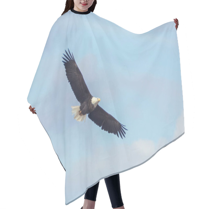 Personality  Bald Eagle In Flight With Blue Sky And Clouds In The Background Hair Cutting Cape