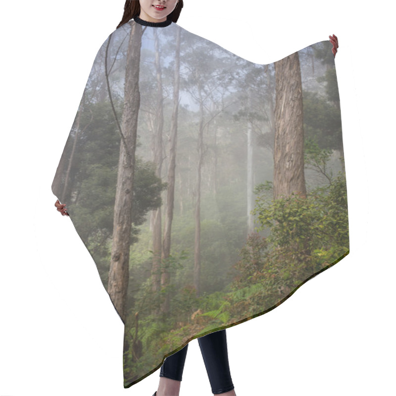 Personality  Road Through A Golden Forest With Fog Hair Cutting Cape