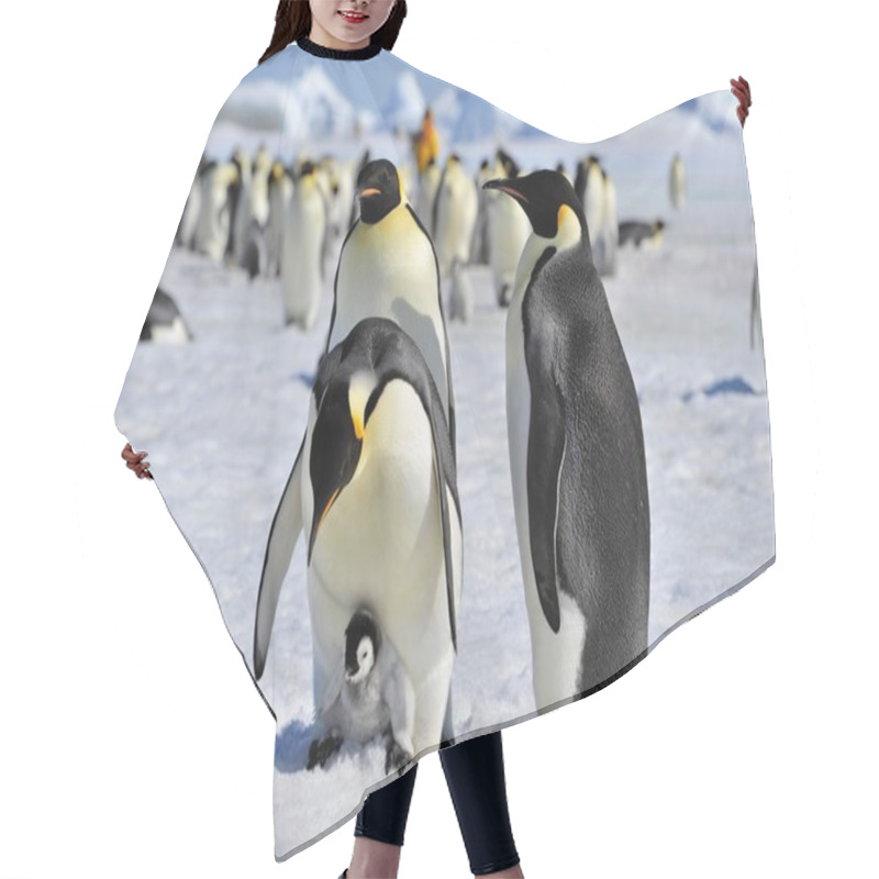 Personality  Emperor Penguin Hair Cutting Cape