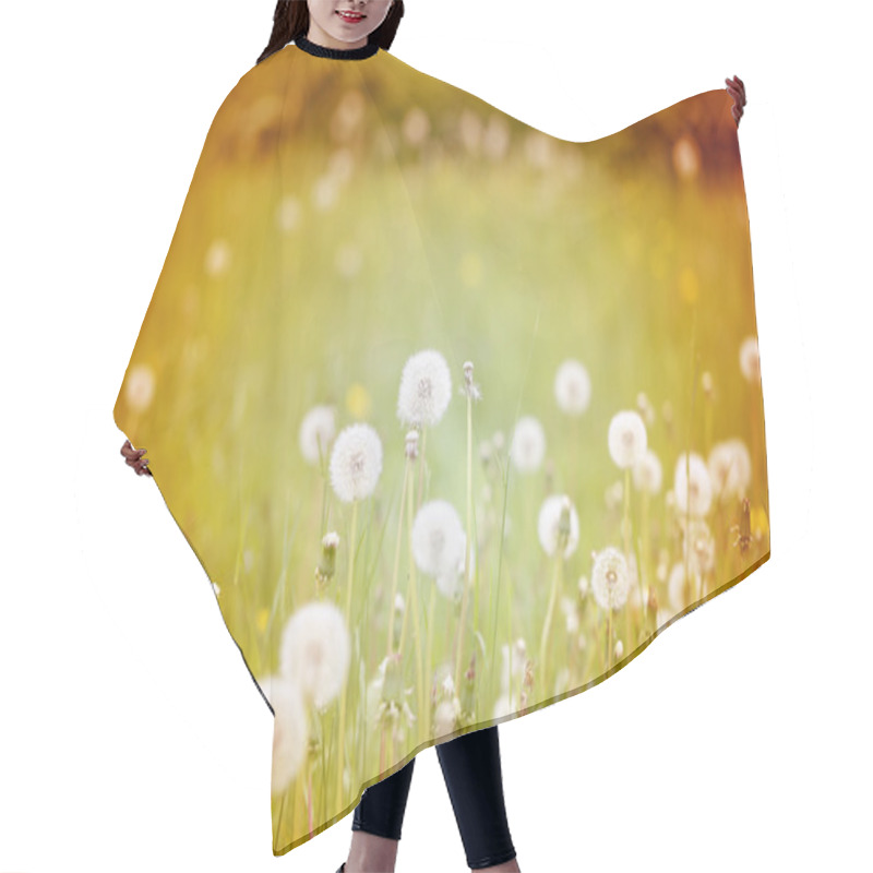 Personality  Beautiful Flowers  Dandelions Hair Cutting Cape