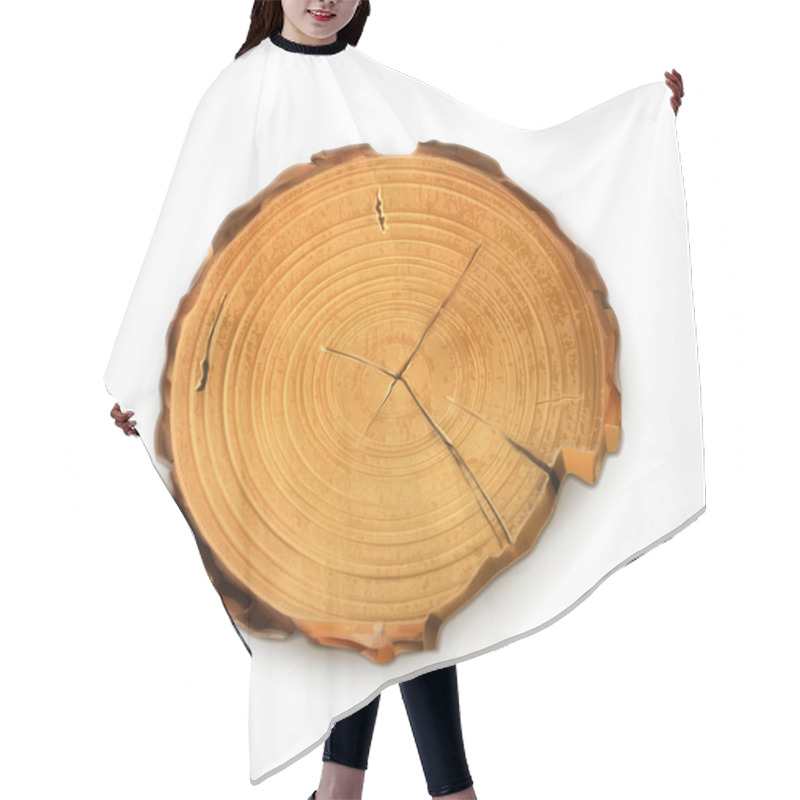 Personality  Tree Stump, Round Cut With Annual Rings Vector Hair Cutting Cape