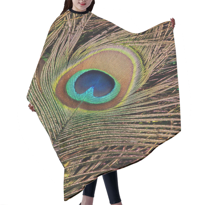 Personality  Peacock Feather Hair Cutting Cape