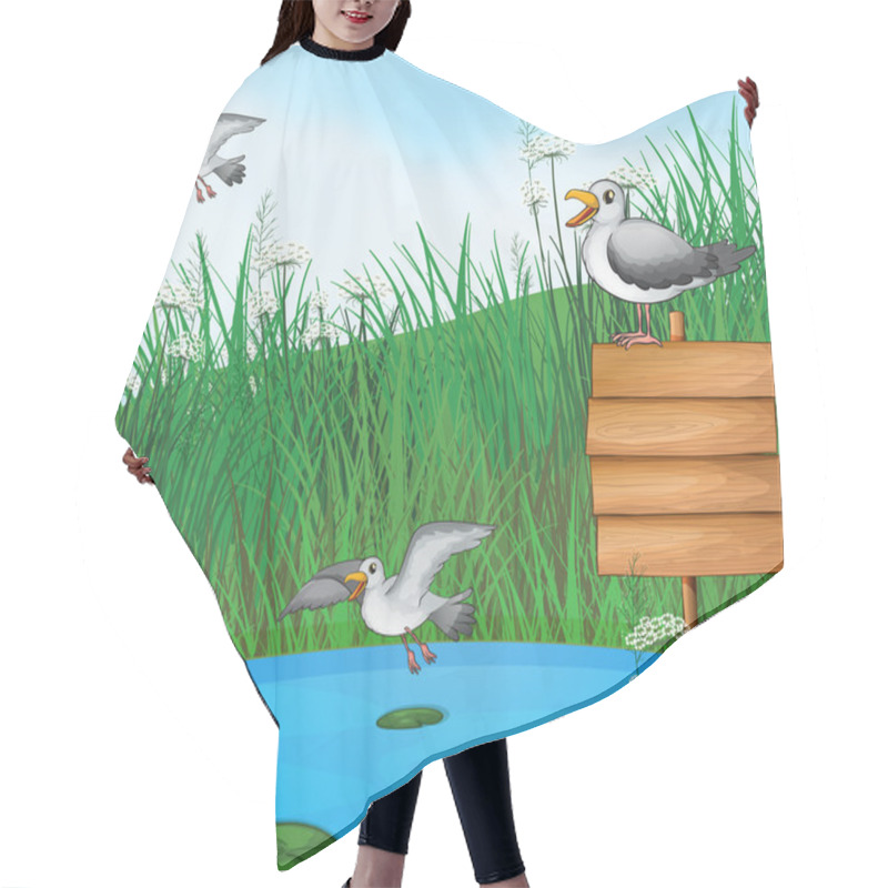 Personality  Three Birds At The Pond With A Signboard Hair Cutting Cape