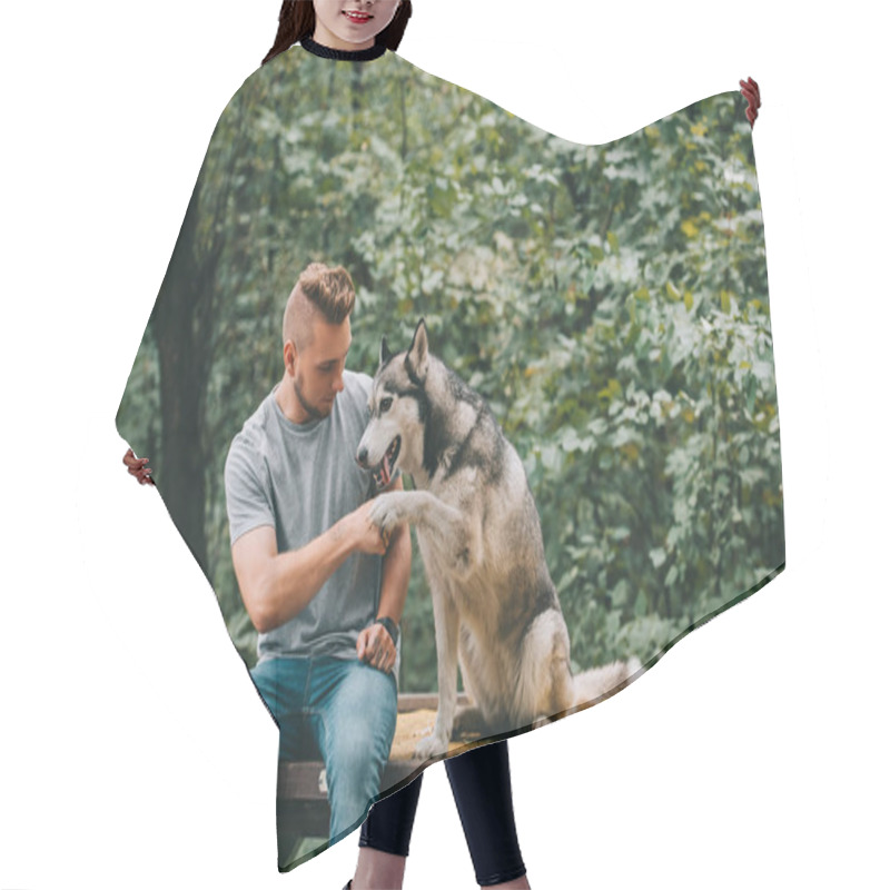 Personality  Cynologist Holding Paw Of Obedient Husky Dog Hair Cutting Cape