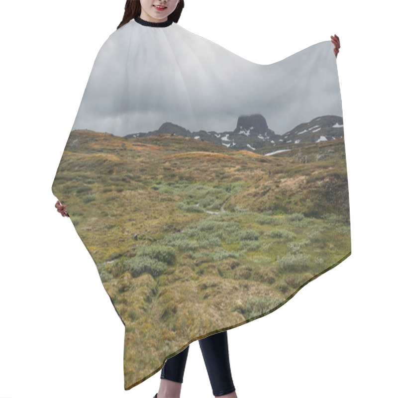 Personality  View Of Field With Green Grass And Rocks On Background, Norway, Hardangervidda National Park Hair Cutting Cape