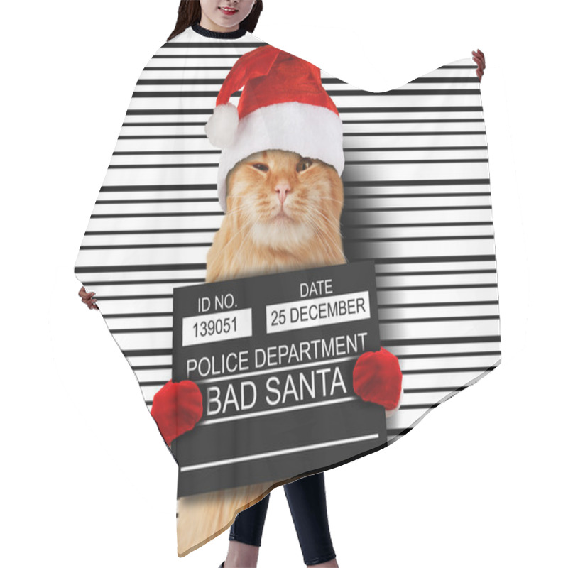 Personality  Cat Holding A Banner Offender Hair Cutting Cape