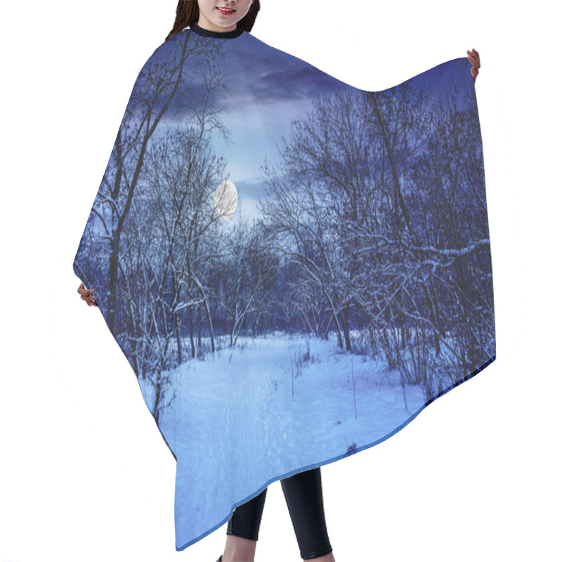 Personality  Winter Forest At Night Hair Cutting Cape