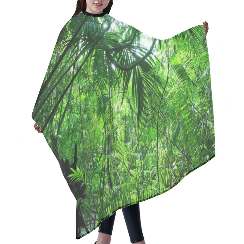 Personality  Tropical Green Forest Hair Cutting Cape