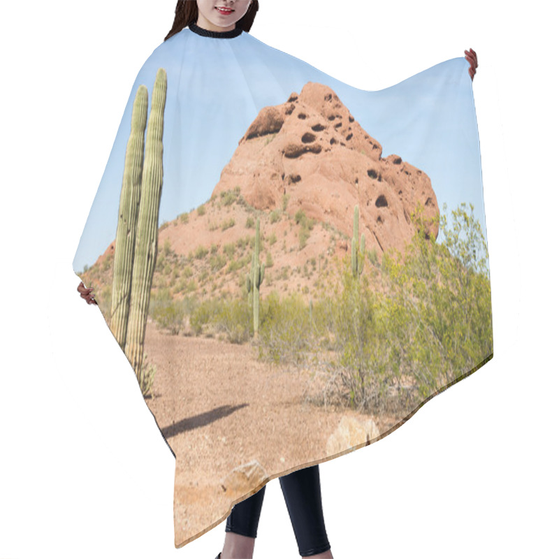 Personality  Arizona Desert Landscape Red Rocks Cactus Arid Landscape Hair Cutting Cape