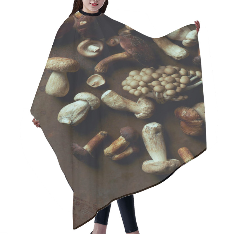 Personality  Top View Of Various Raw Edible Mushrooms On Dark Grunge Background  Hair Cutting Cape