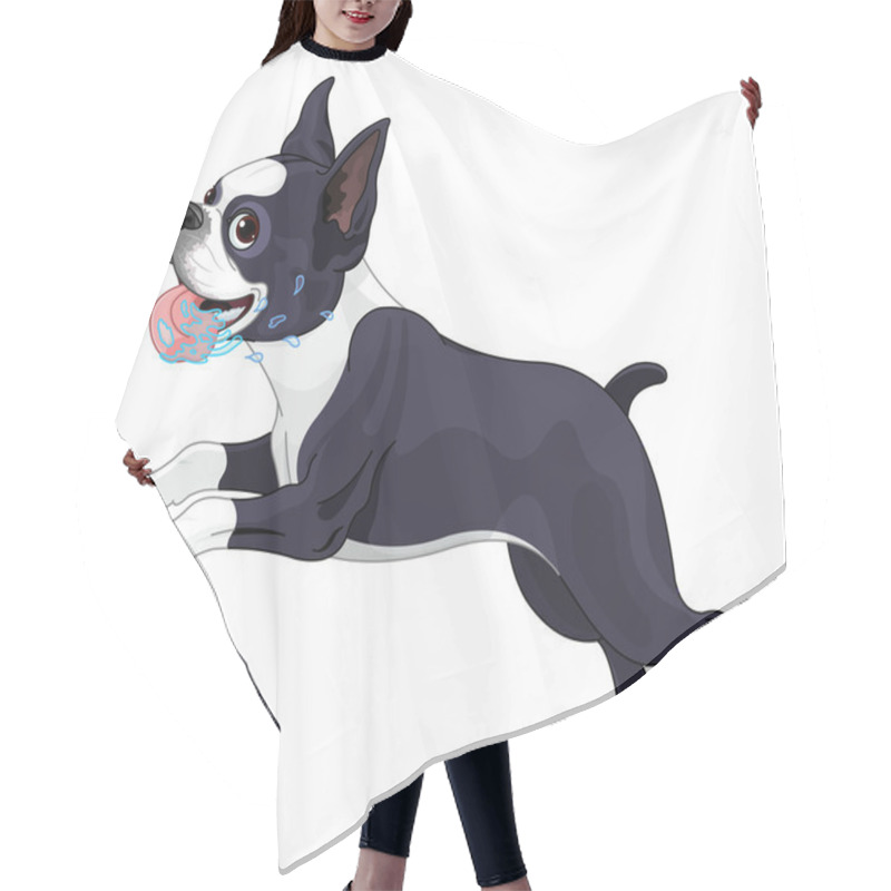 Personality  Cute Terrier Boston Hair Cutting Cape