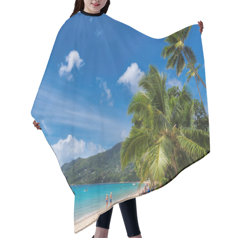 Personality  Palm Tree On Tropical Beach In Seychelles, Beau Vallon, Mahe Island. Hair Cutting Cape