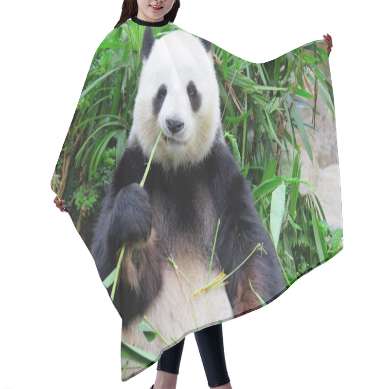 Personality  Panda Eating Bamboo Hair Cutting Cape