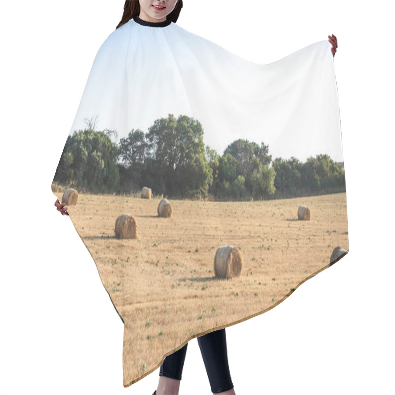 Personality  Hay Hair Cutting Cape