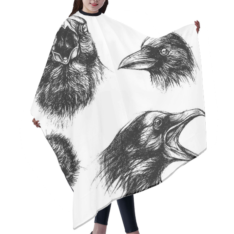 Personality  Crow Head Drawing Line Work Vector Hair Cutting Cape