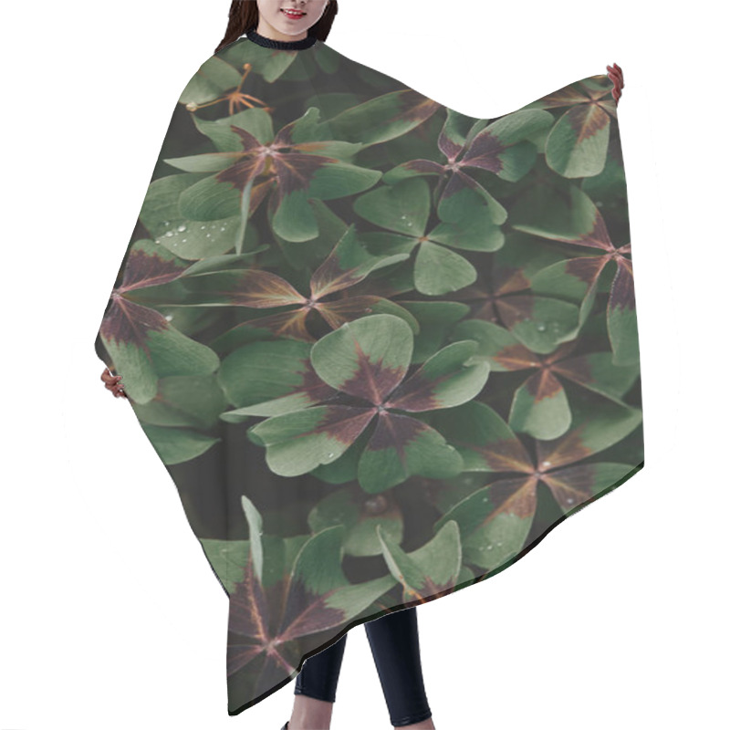 Personality  Full Frame Image Of Bronze Dutch Clover Covered By Water Drops Background  Hair Cutting Cape