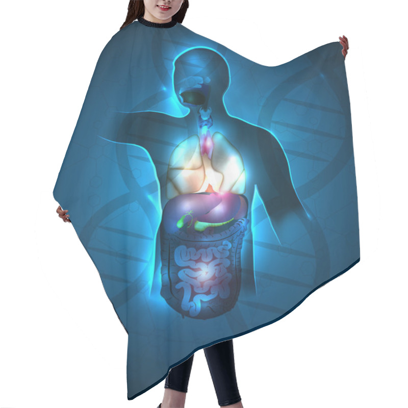 Personality  Detailed Human Anatomy Hair Cutting Cape