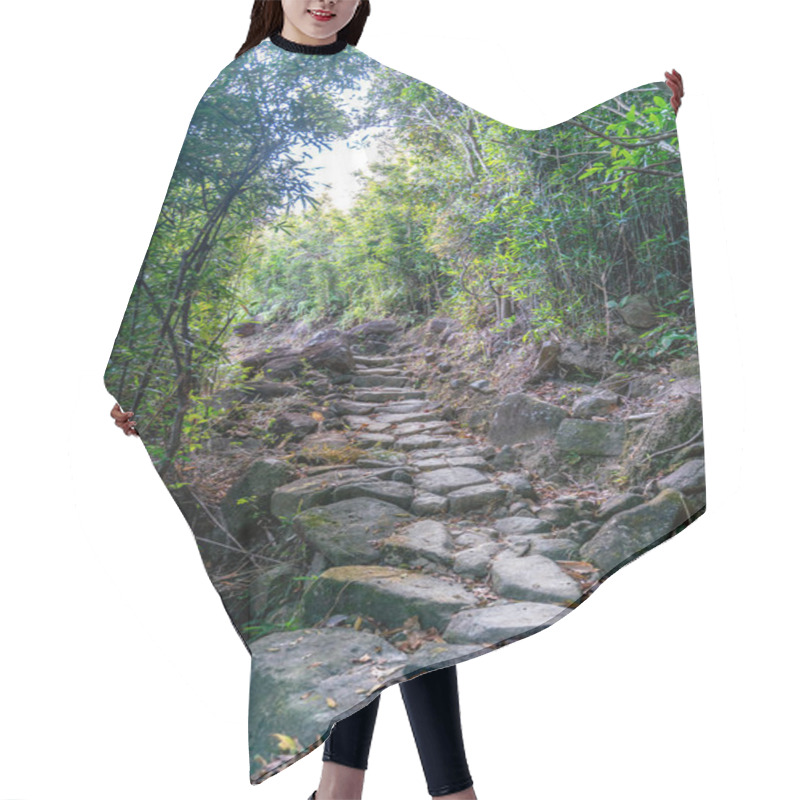 Personality  The Beautiful Sunny Hiking Road In Sai Kung East Country Park In Hong Kong Hair Cutting Cape