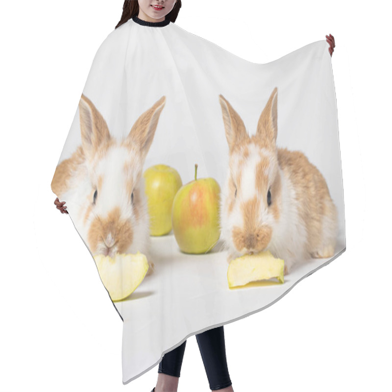 Personality  Two Little Red Fluffy Rabbits Are Eating Yellow Apples On A White Background. Pet Rabbit Food, Photo With Copy Space For Pet Shop And Veterinary Clinic. Hair Cutting Cape