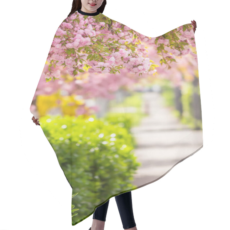 Personality  Pink Blossomed Sakura Flowers Street Hair Cutting Cape