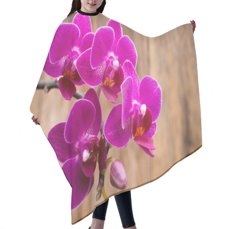 Personality  Orchid. Hair Cutting Cape