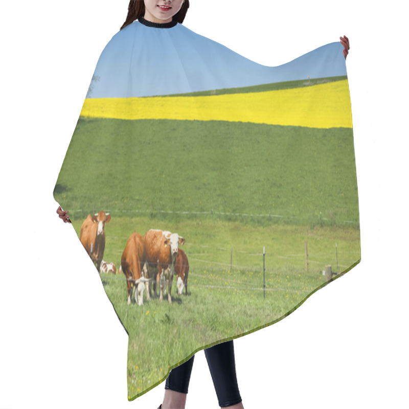 Personality  Fields In Germany Hair Cutting Cape