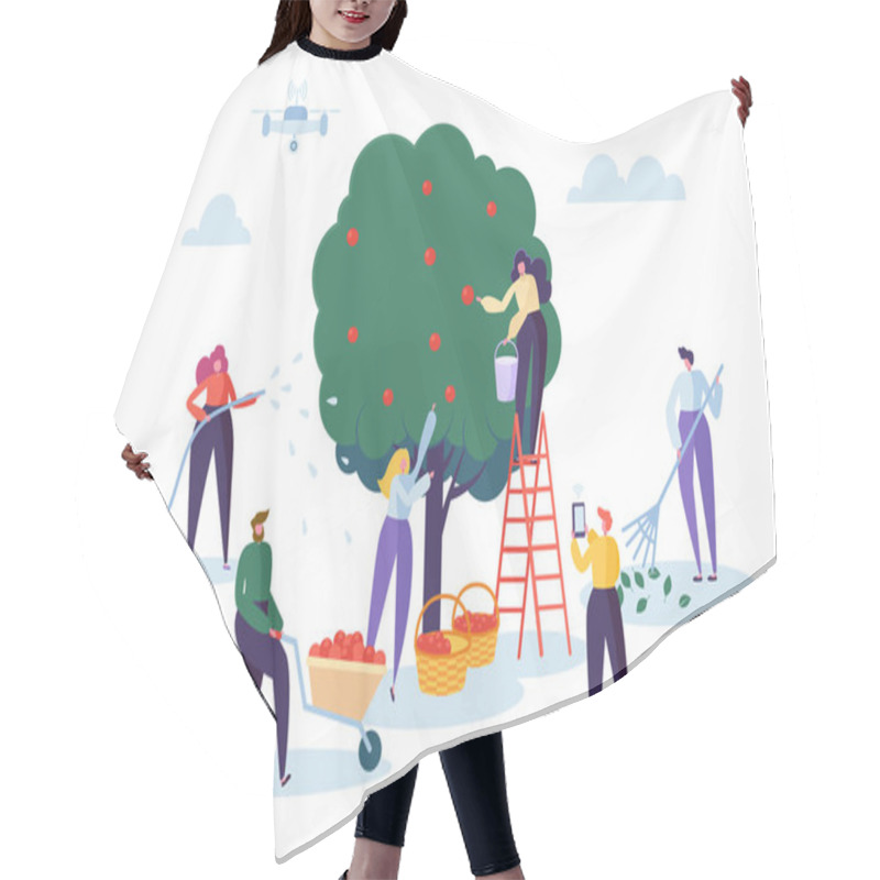 Personality  Farmer Pick Apple Harvest To Basket. Woman Character Harvesting Ripe Fruit From Green Organic Tree. Man Control Farm With Drone. Country Garden Landscape Flat Cartoon Vector Illustration Hair Cutting Cape