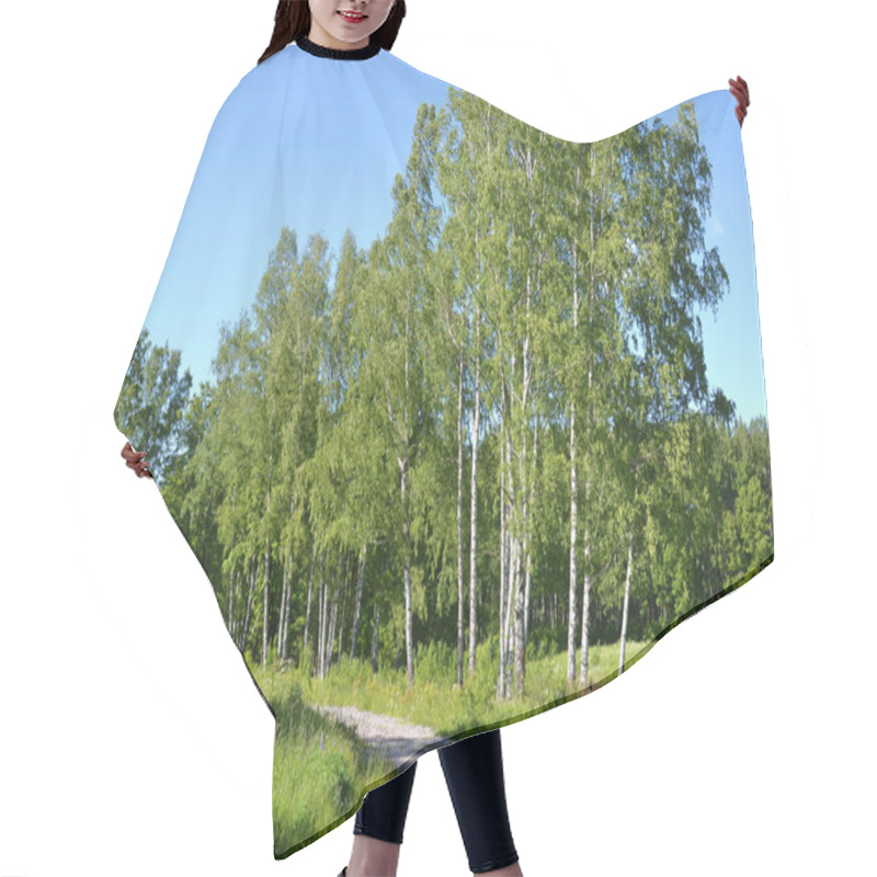 Personality  Trees In A Summer Forest. Hair Cutting Cape