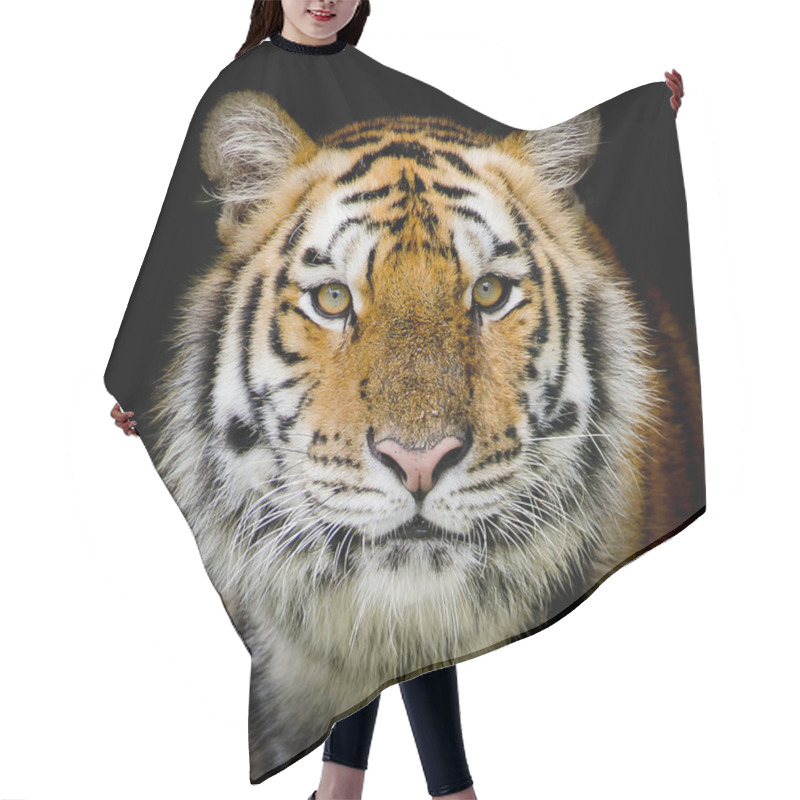 Personality  Tiger  Background Hair Cutting Cape