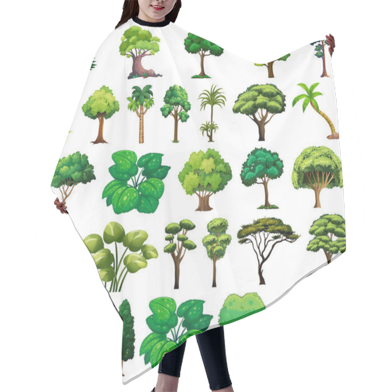 Personality  Set Of Variety Plants And Trees Illustration Hair Cutting Cape