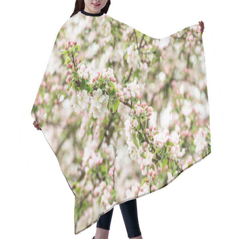 Personality  Blossoming Of Apple Tree. Spring Flowers Hair Cutting Cape