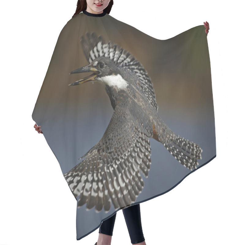 Personality  Flying Bird Ringed Kingfisher Hair Cutting Cape