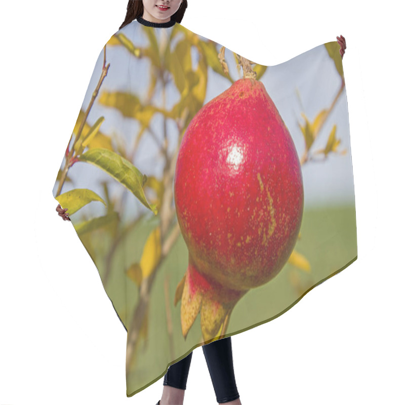 Personality  Ripe Pomegranate On The Tree Hair Cutting Cape